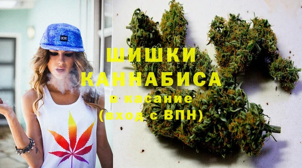 гидра Гусиноозёрск