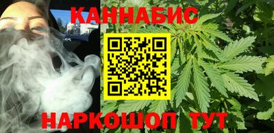 крисы Обь