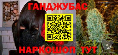 крисы Обь