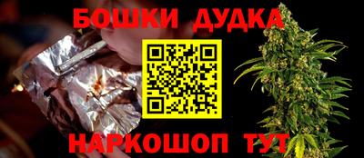 крисы Обь