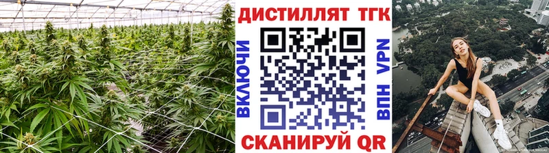 Дистиллят ТГК THC oil Шадринск