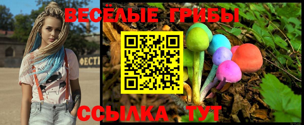 Как найти наркотики?  LSD-25  Шадринск  Вход с VPN  Меф МЯУ МЯУ   ГАШИШ  Канабис  АМФЕТАМИН кристаллы  Экстази  Cocaine 