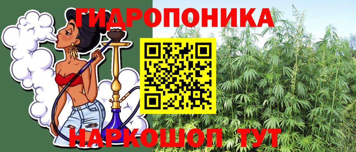 Каннабис индика Шадринск